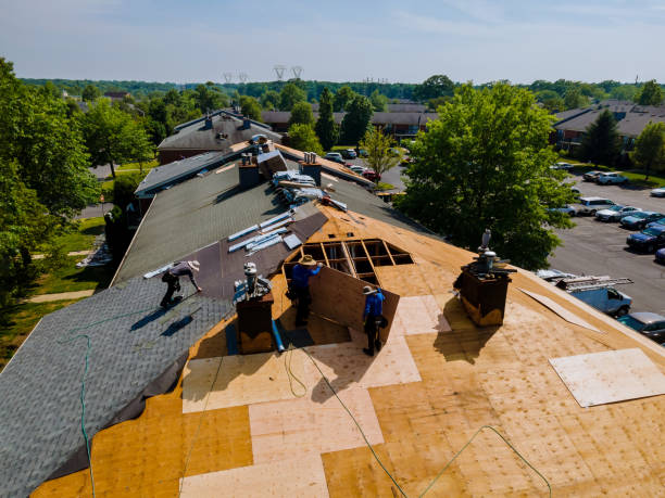 24/7 Emergency Roof Repair experts in Evans, CO